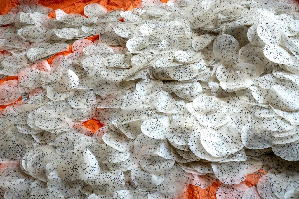 Heaps of raw rice cakes drying on fabric