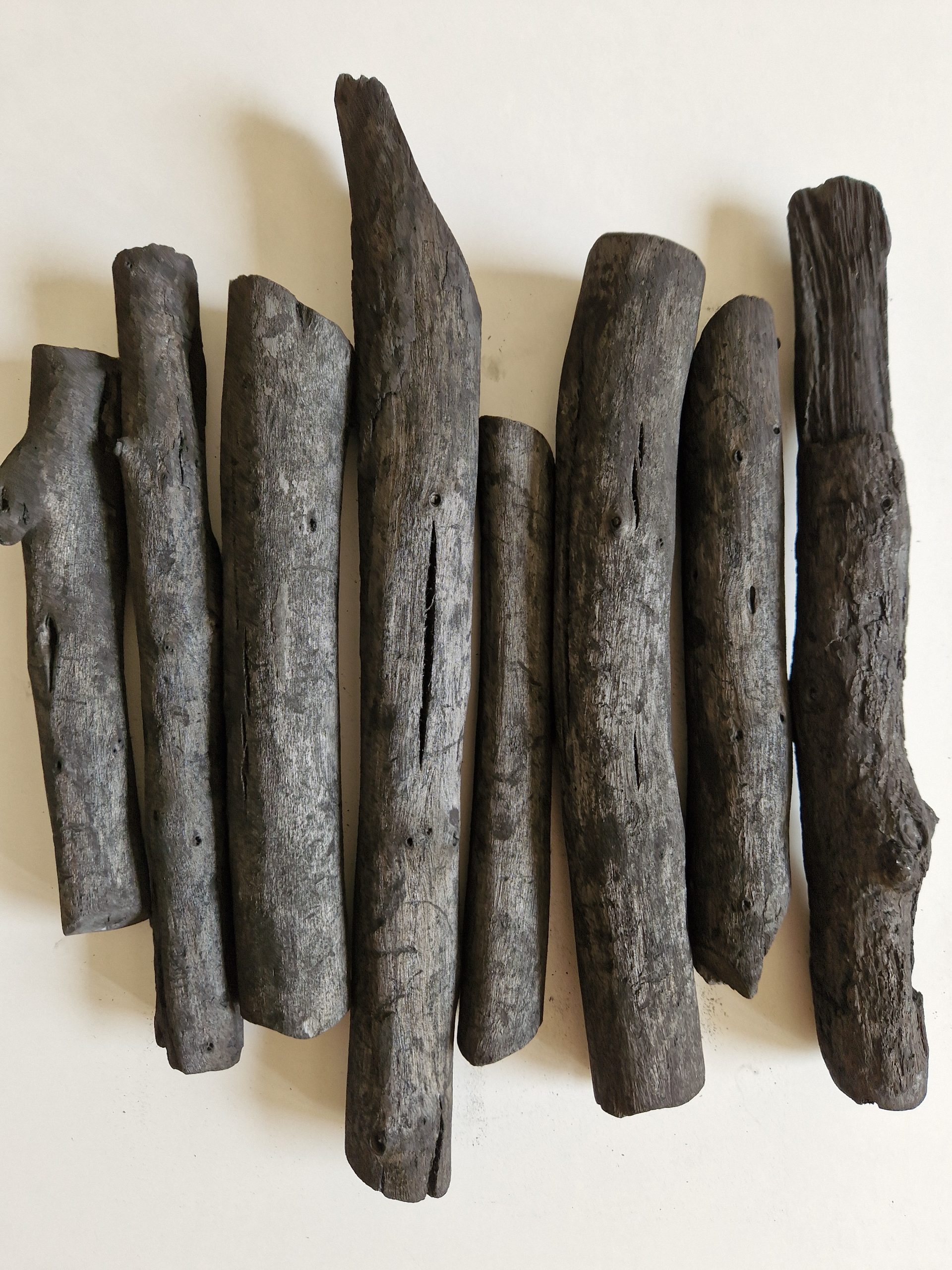 Usos del carbón vegetal que quizá no conocías